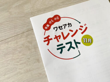 現在開催中のキャンペーン＆お得情報 早稲アカチャレンジテストは難しい？スーパーキッズ入塾へ小1 語学・辞書・学習参考書